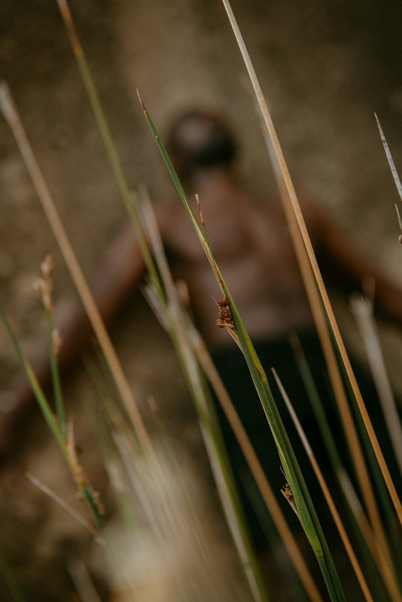 a case for outdoor sex.