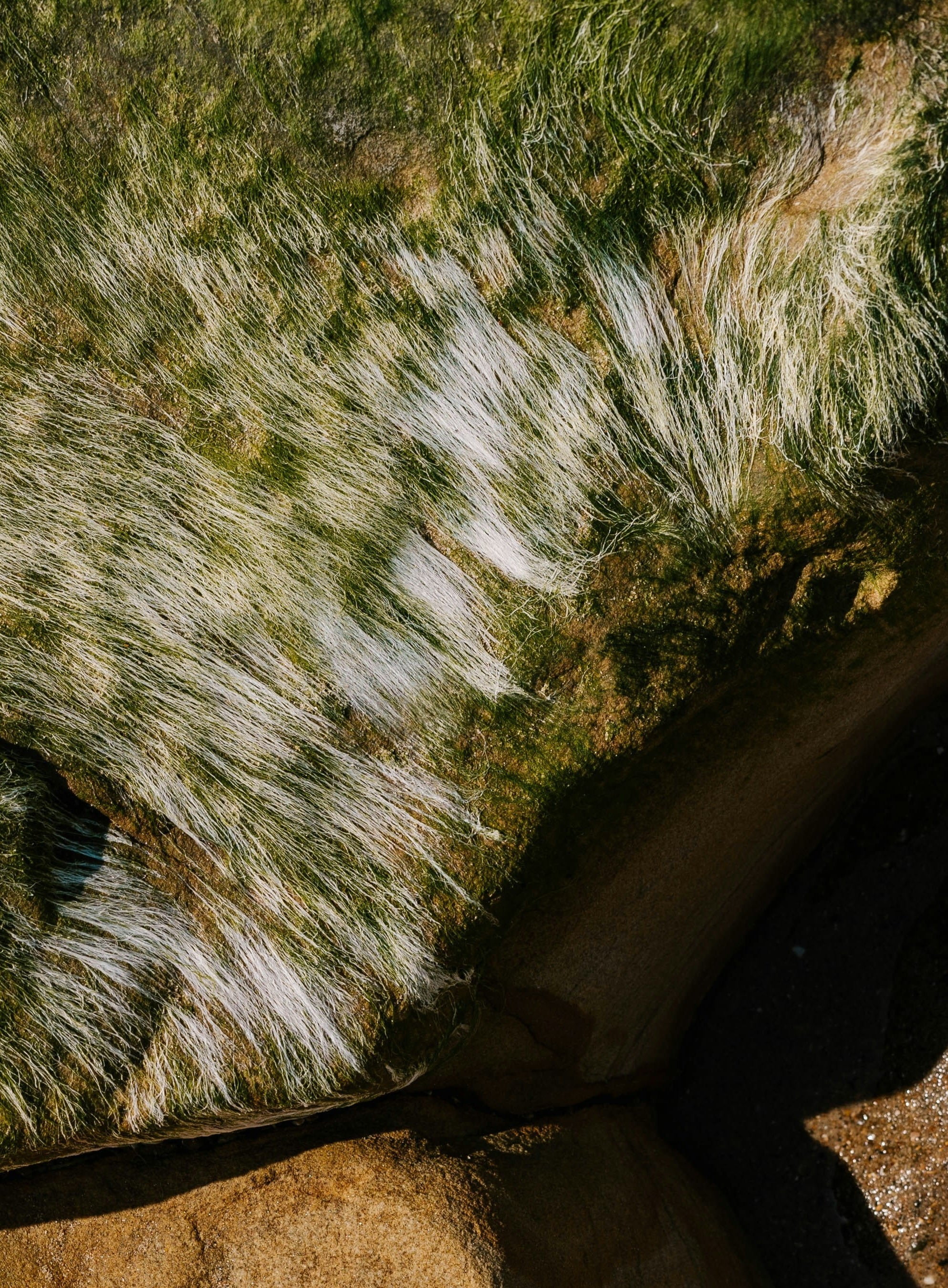 Can Pubic Hair Make Sex Even Better?