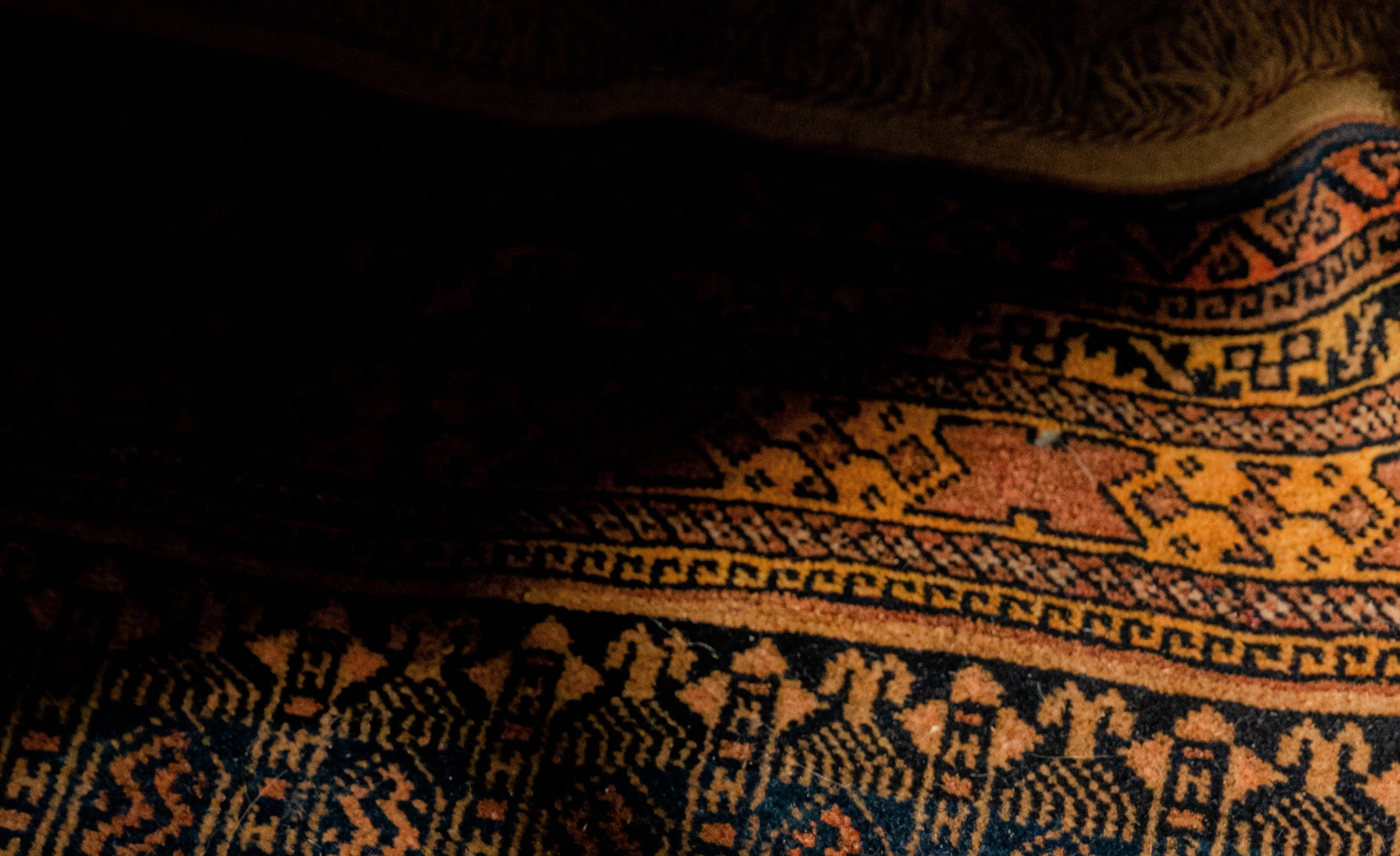 the best rugs for floor sex.