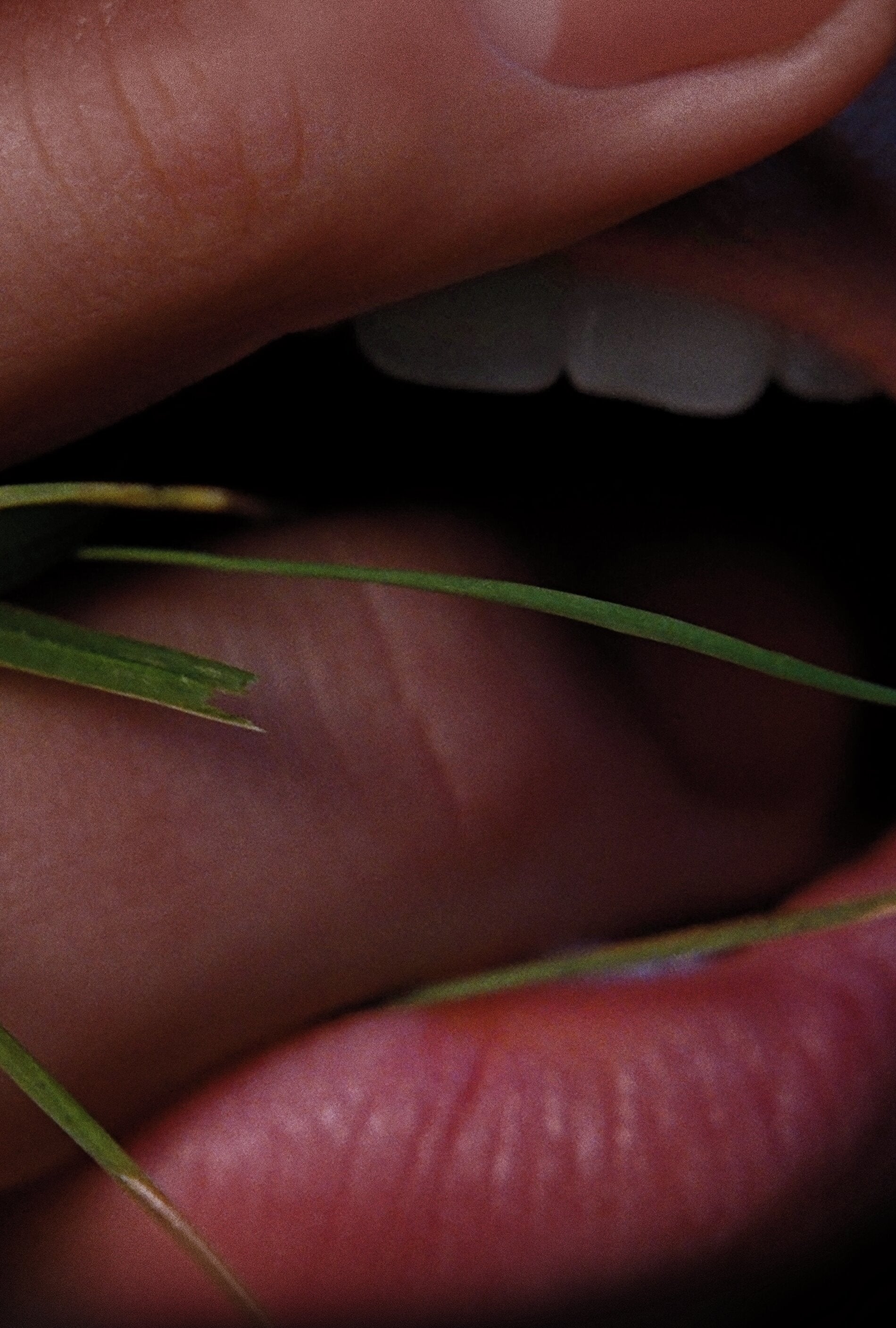 Touch, Tension, and Coming Undone.