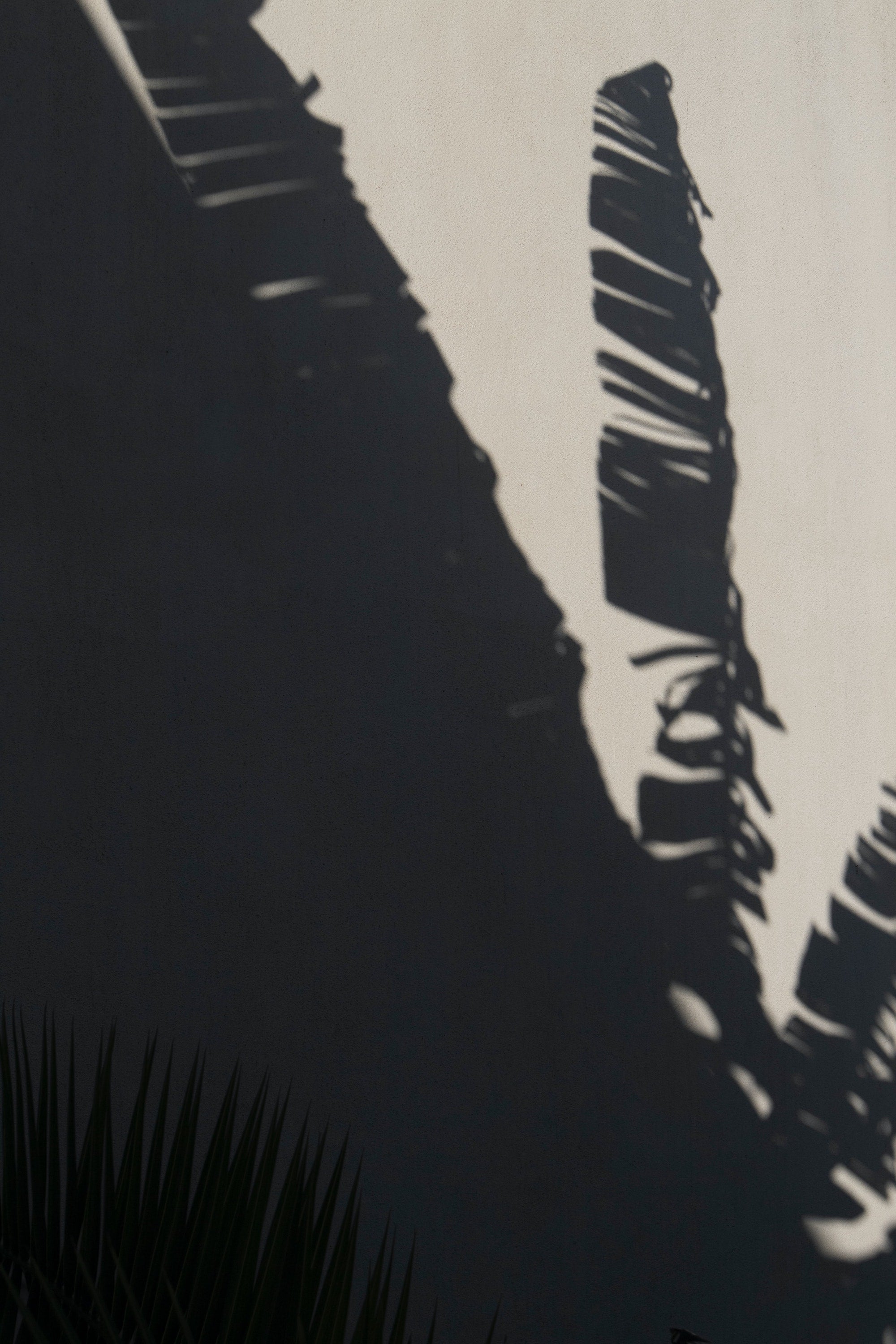 erotica for the ears.