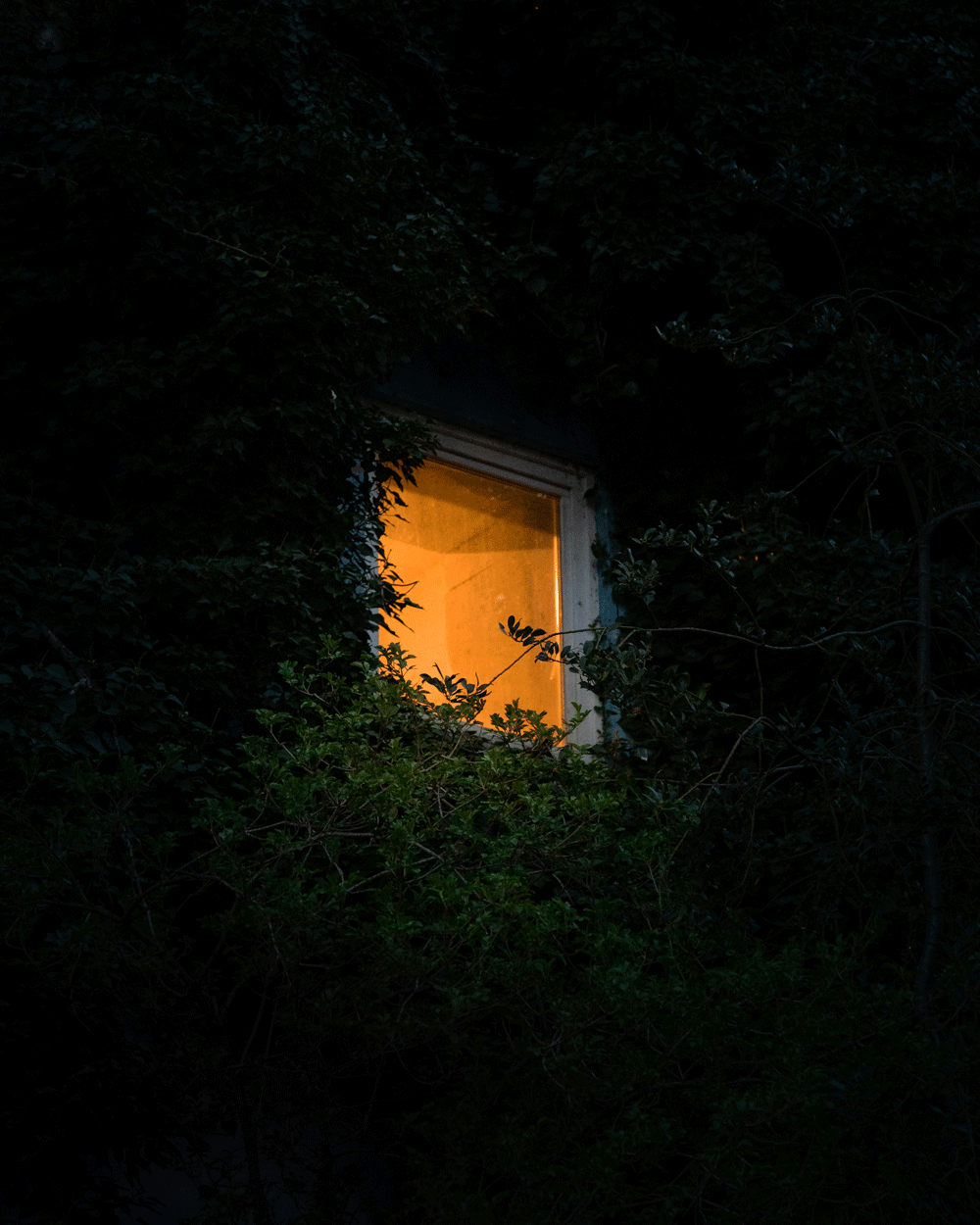 How to stay focused during sex.