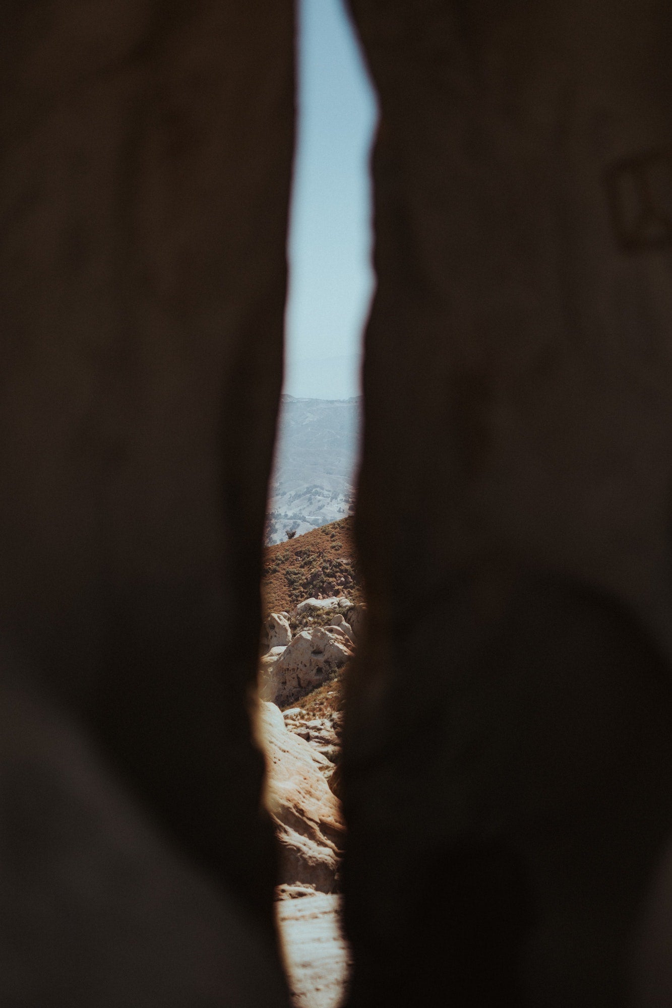 The Sex Lives of Cave Dwellers.