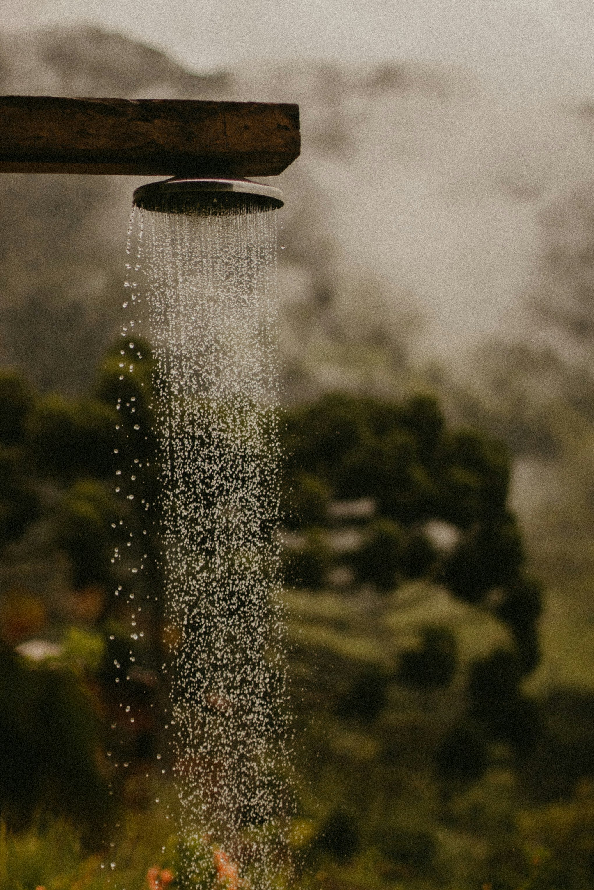 a cozy history of showering with company. – maude