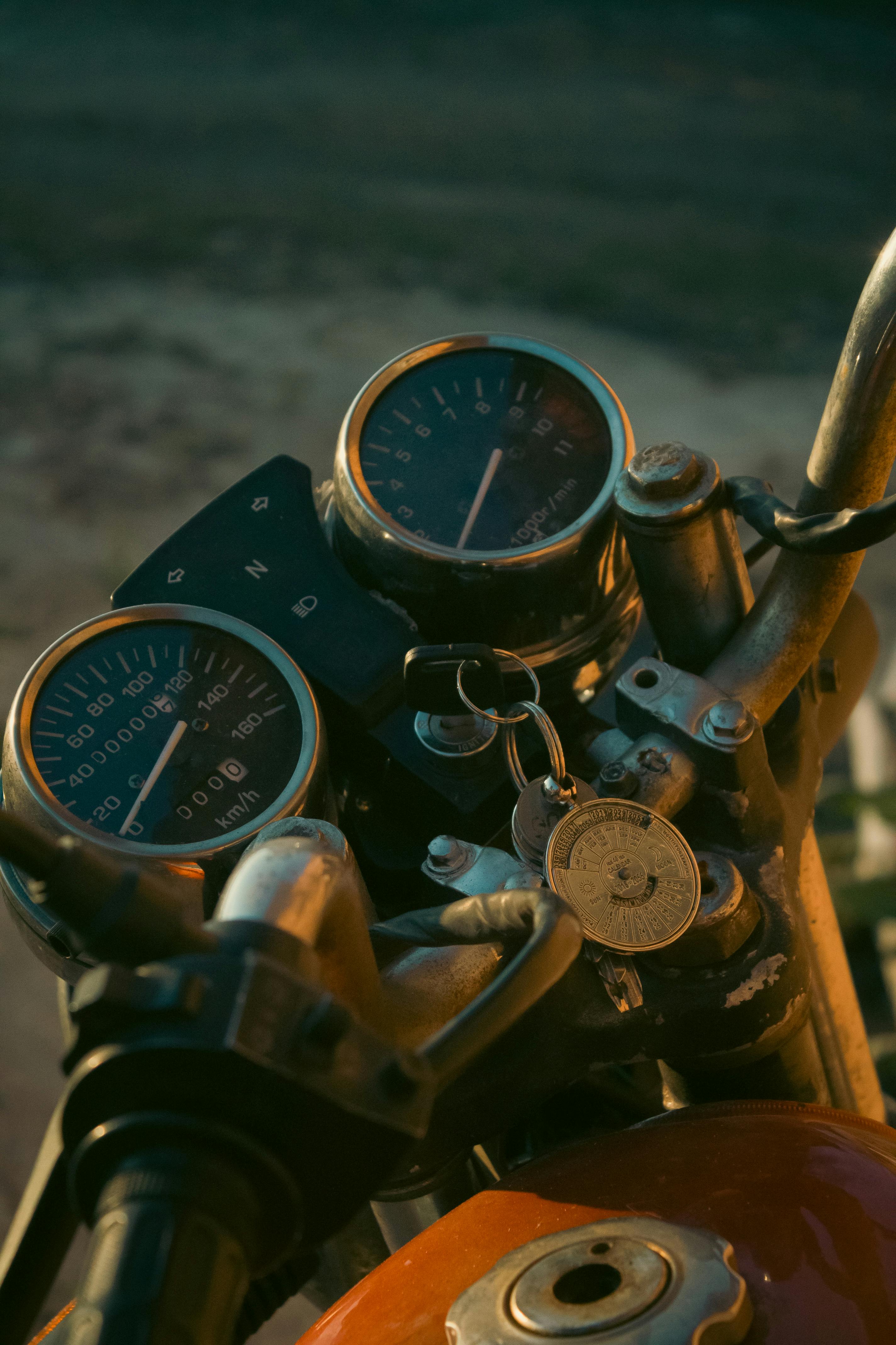 how the all-american biker birthed a gay subculture.