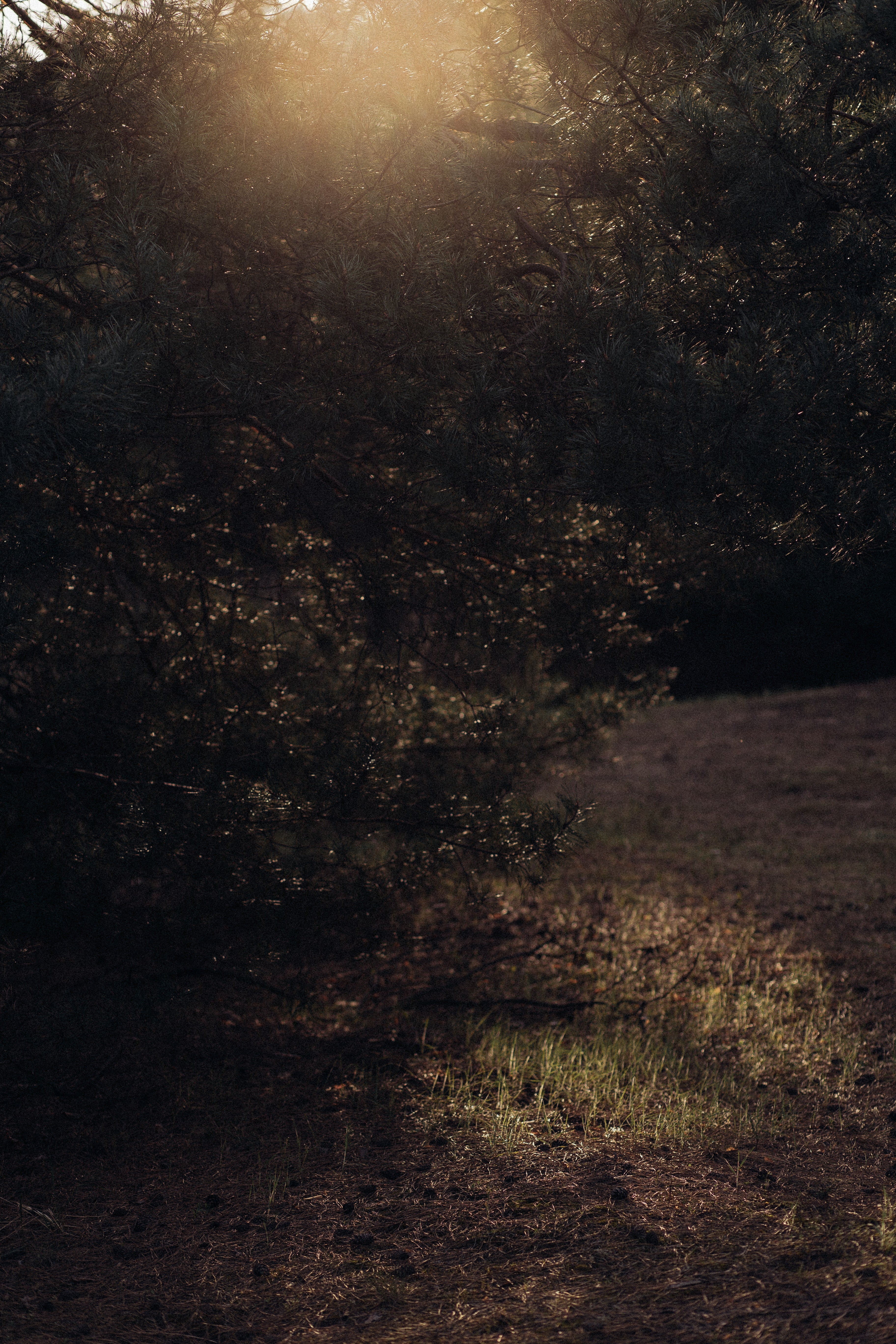 What is a Boston marriage?