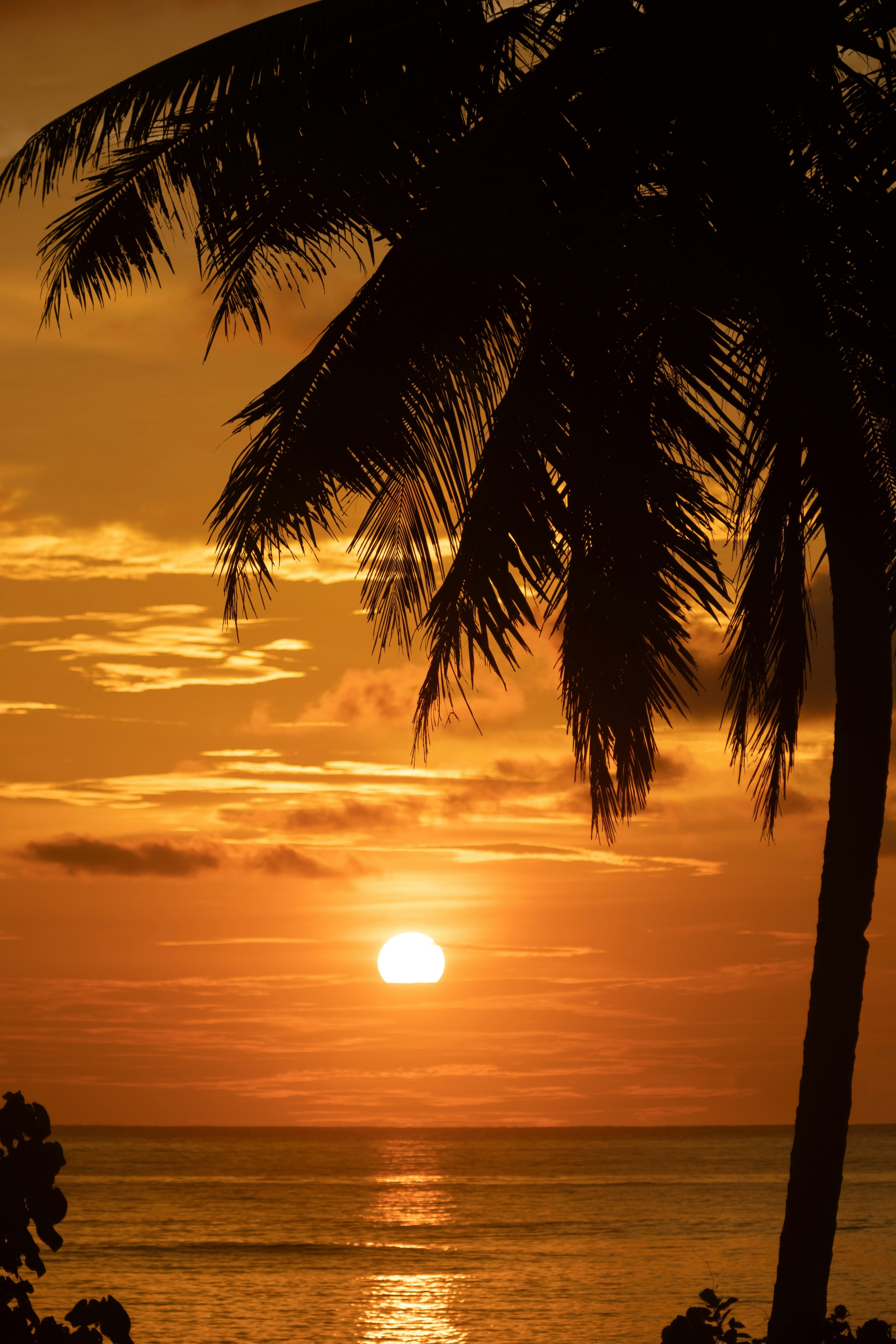 Where does the term “honeymoon” come from?