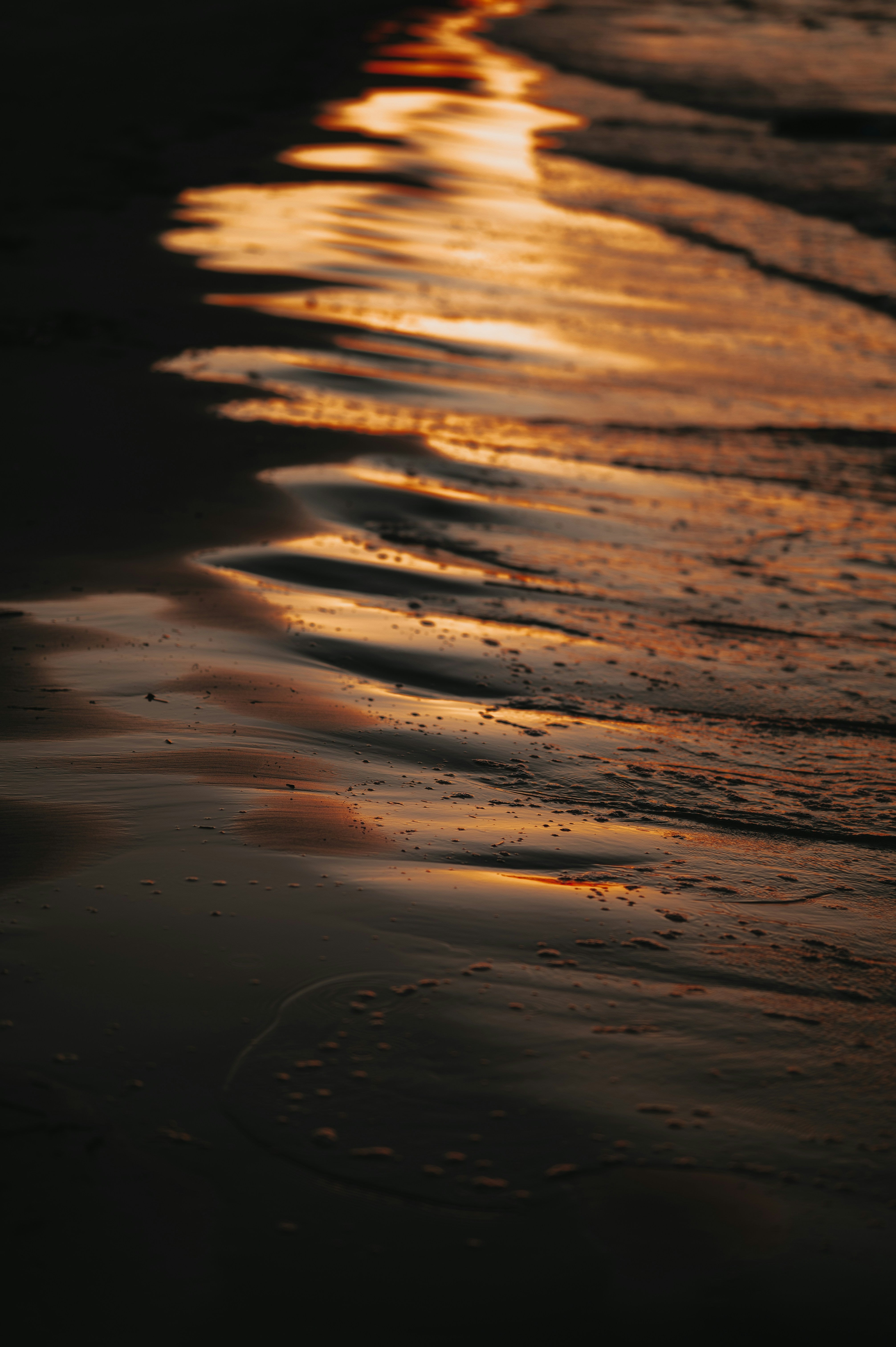 The Science of Wet Dreams.