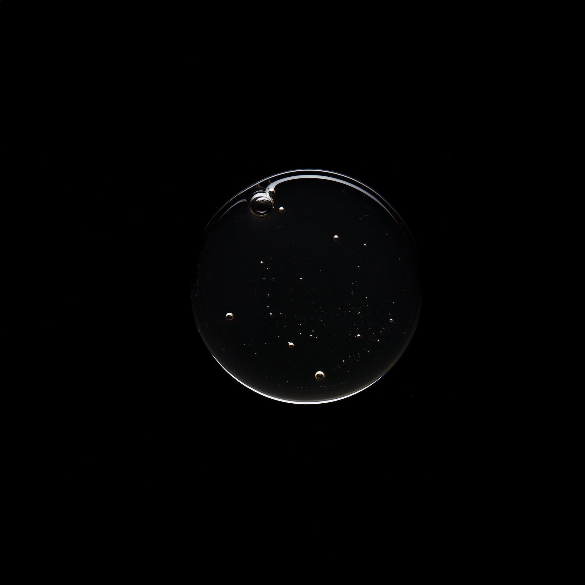 wash, fragrance free (no.0)