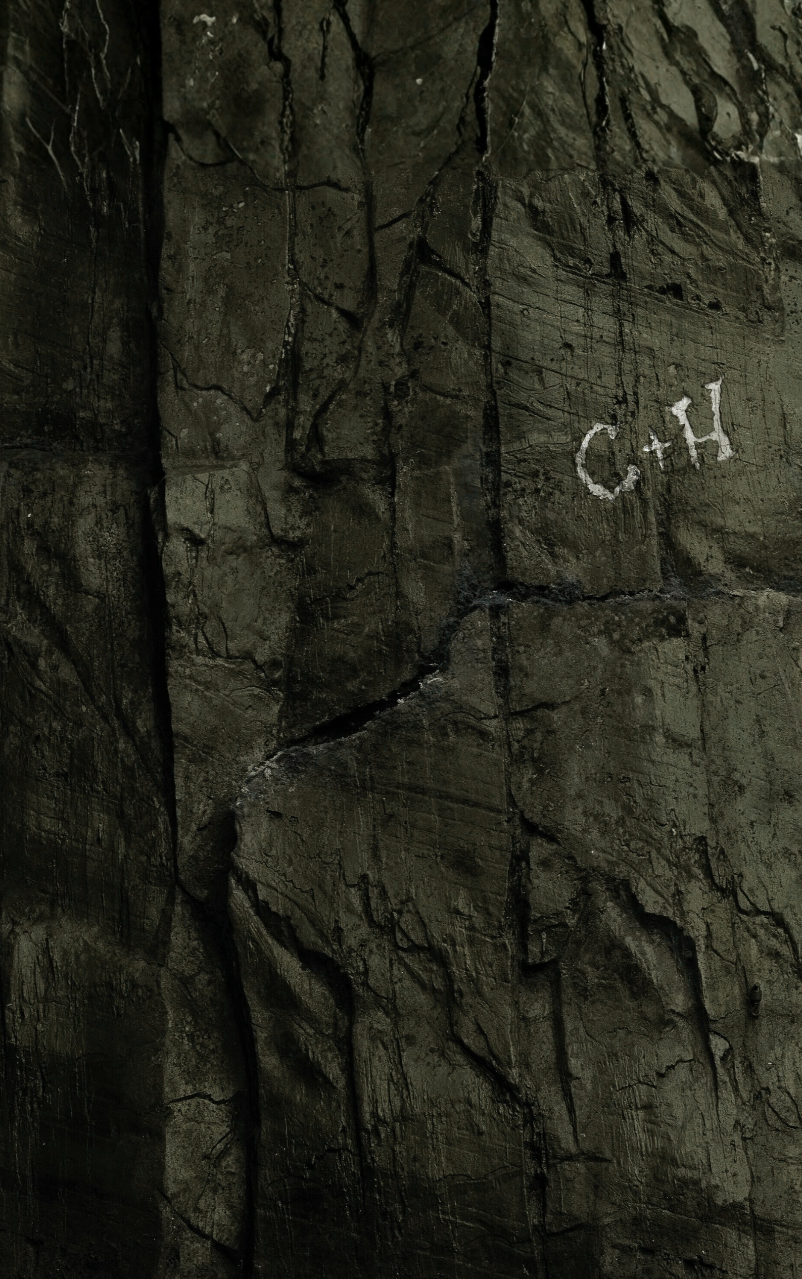 Love as Obsession, Love as Freedom.