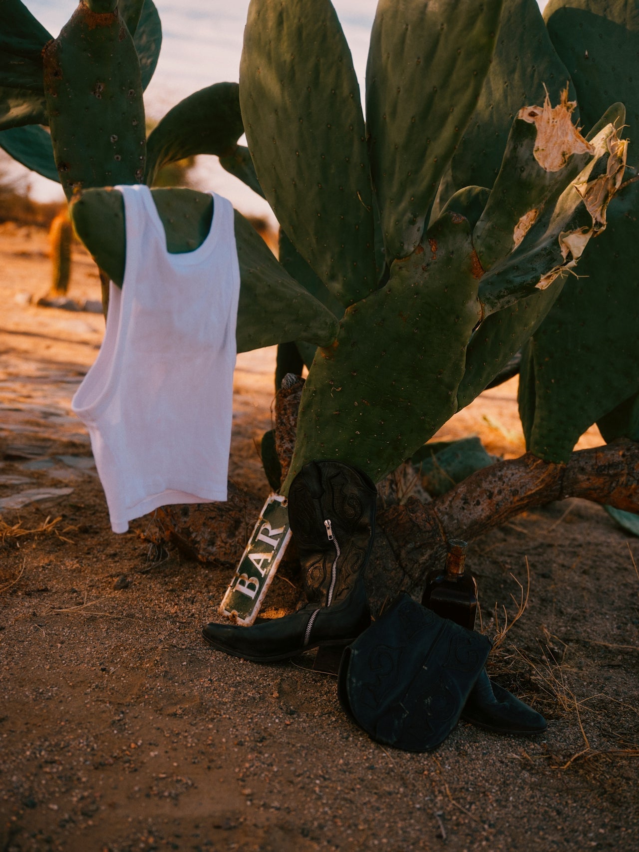 sex and the Wild West.