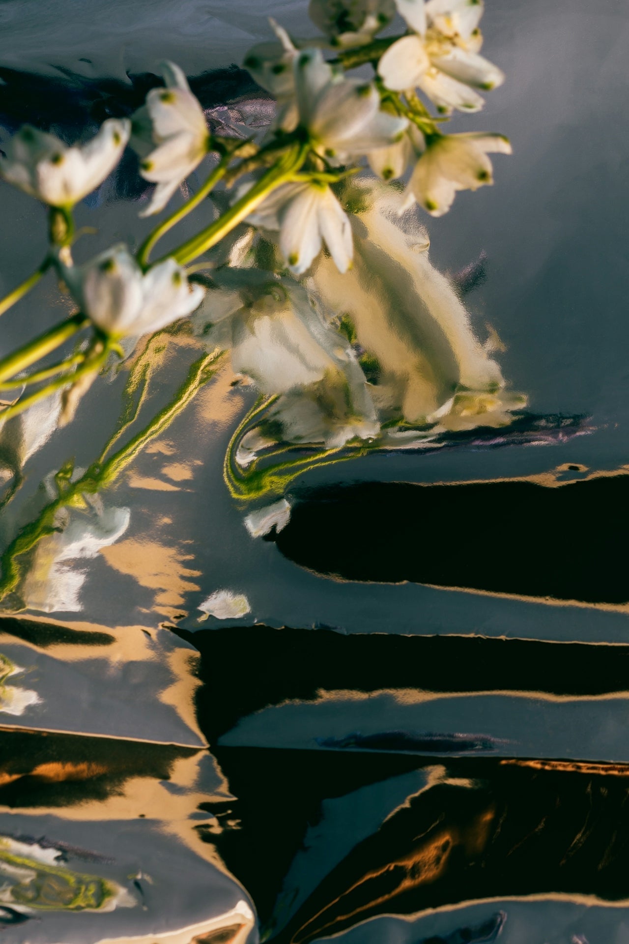 why sexual fantasies are good for the brain.