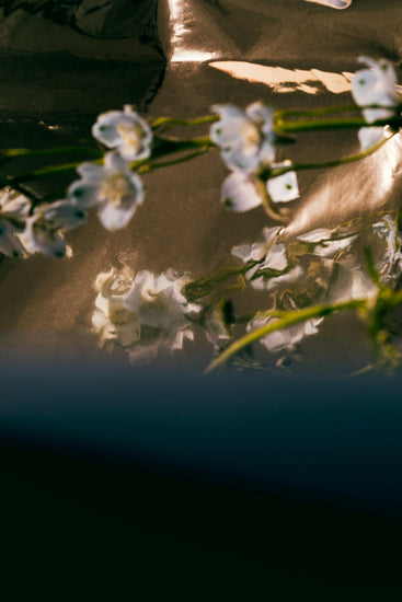 The psychology of May-December Romances.