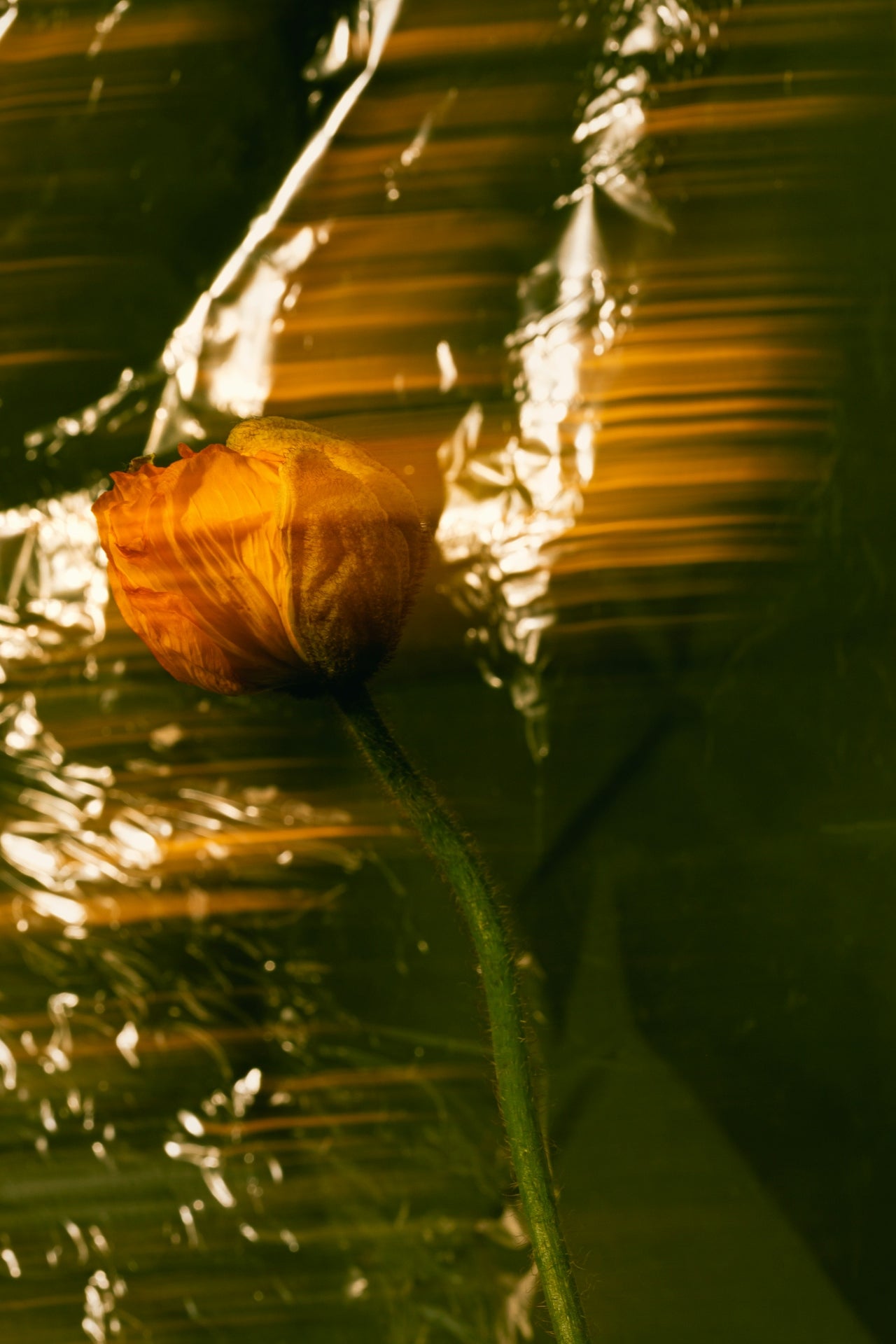 Is Speed-dating back?