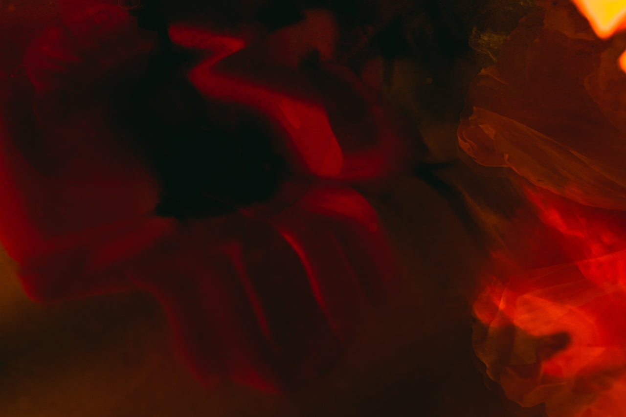 the definitive guide to period sex.