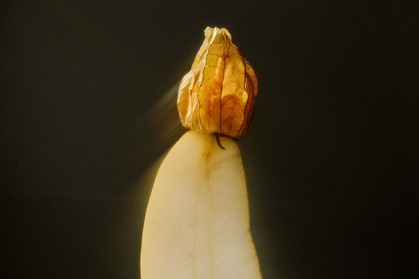 sex beyond the binary.