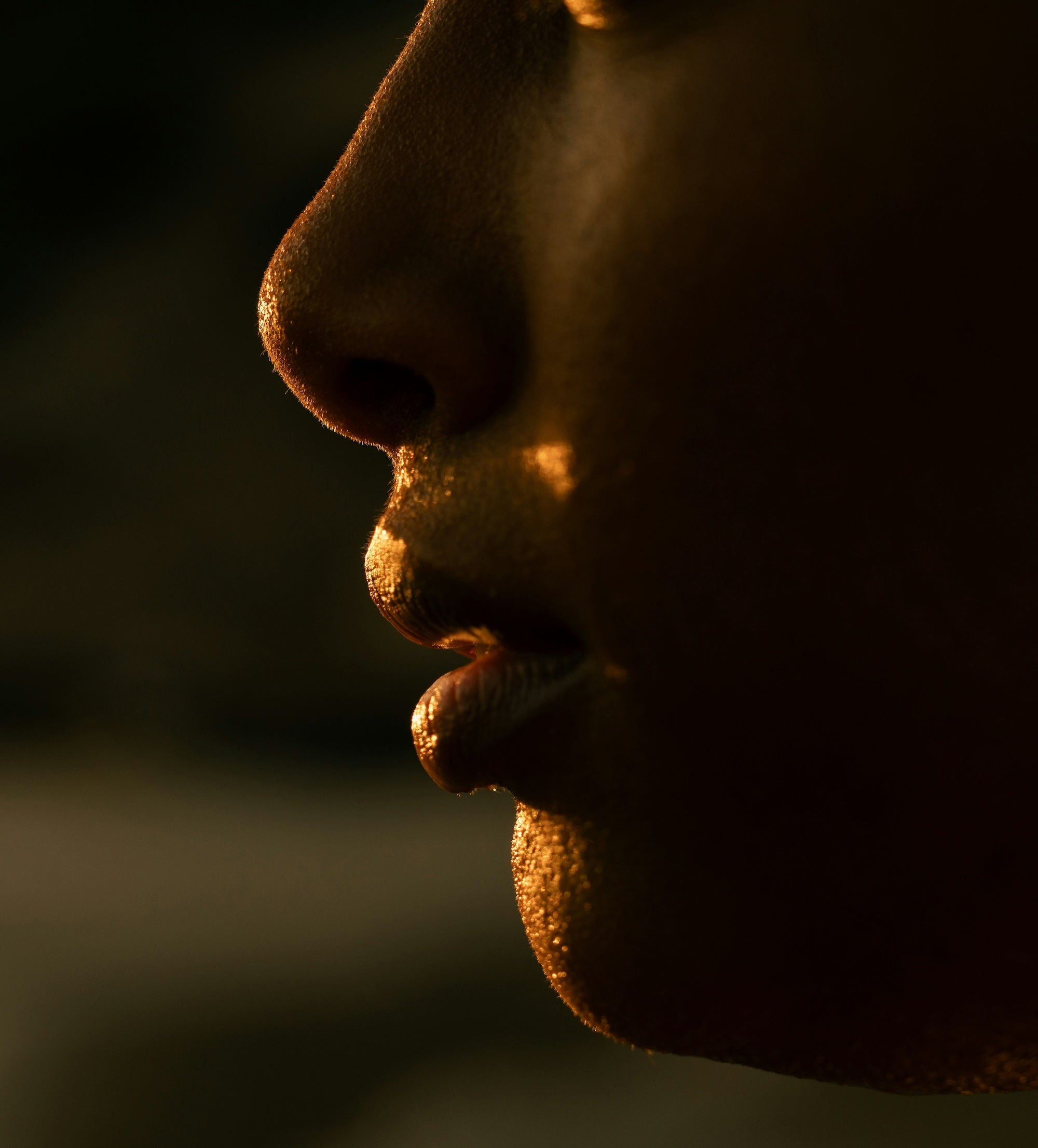 on pheromones and pheromone parties.