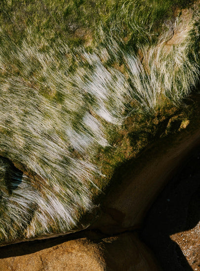 Can Pubic Hair Make Sex Even Better?