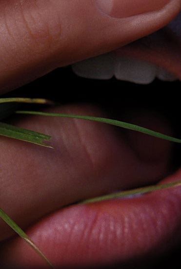 Touch, Tension, and Coming Undone.