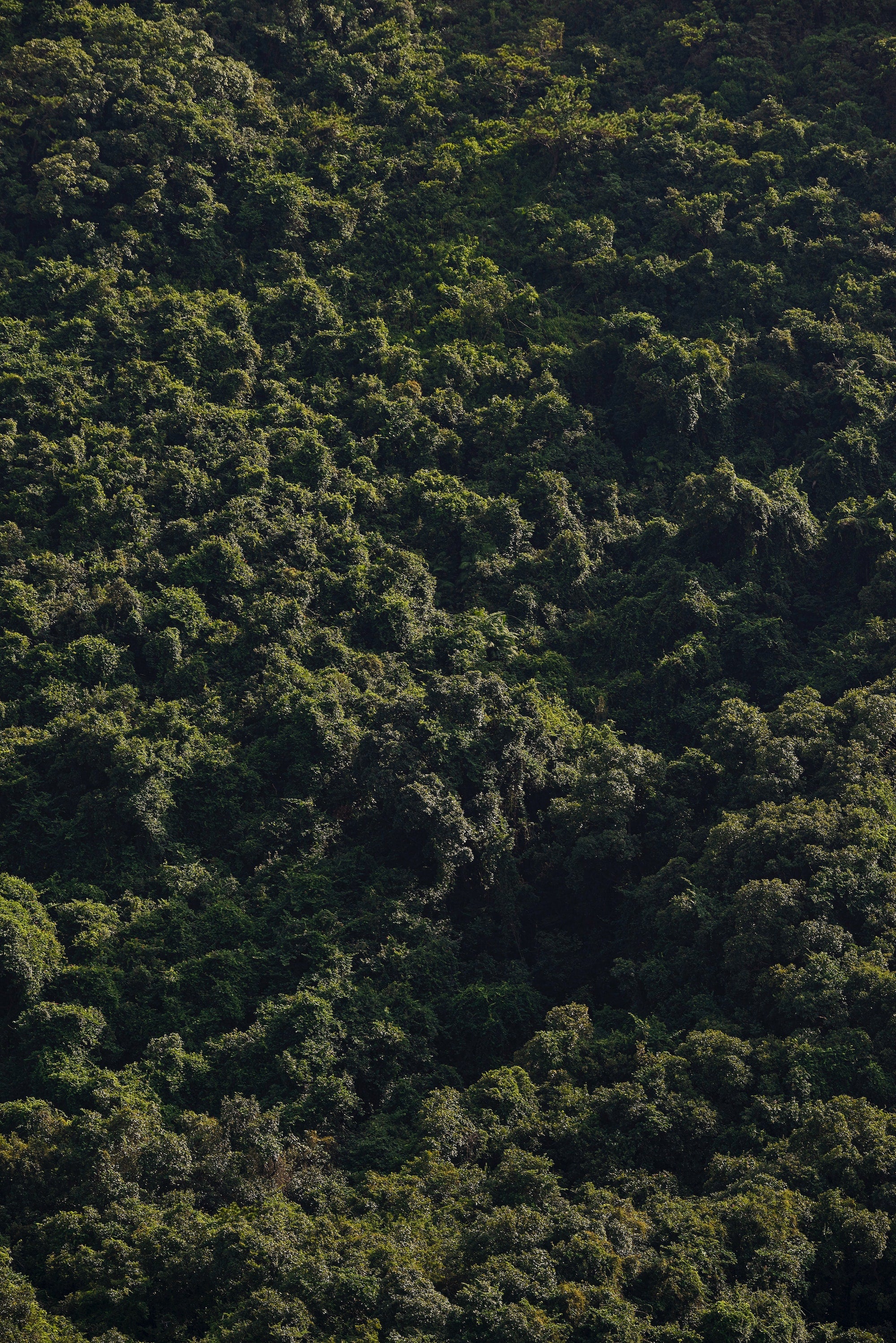 how condoms can fight climate change.