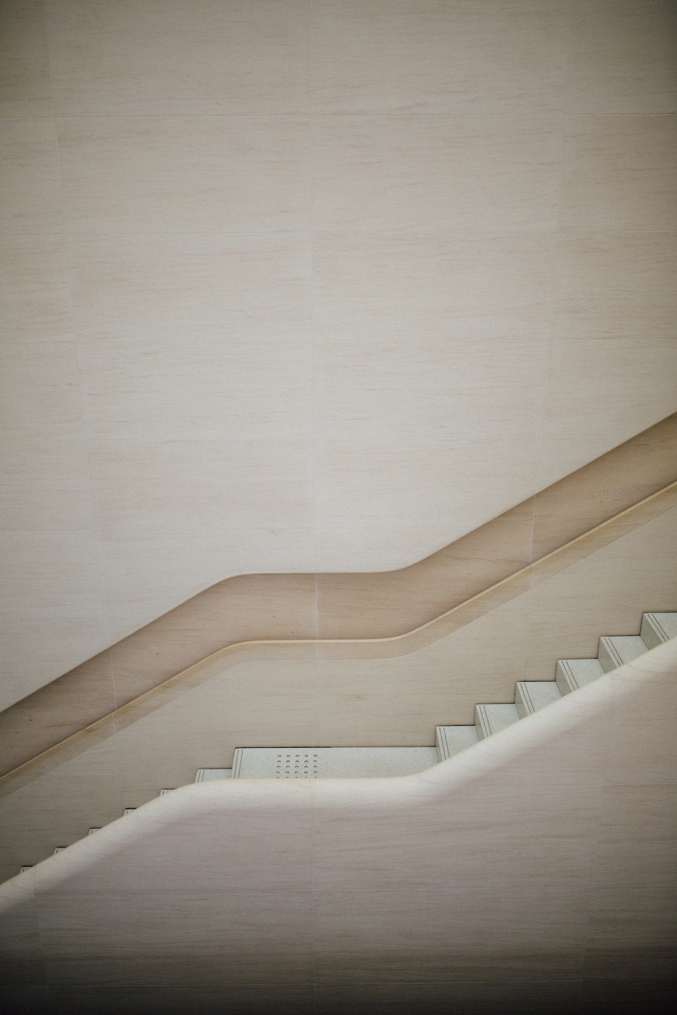 How a zoologist changed the way we think about (human) sex