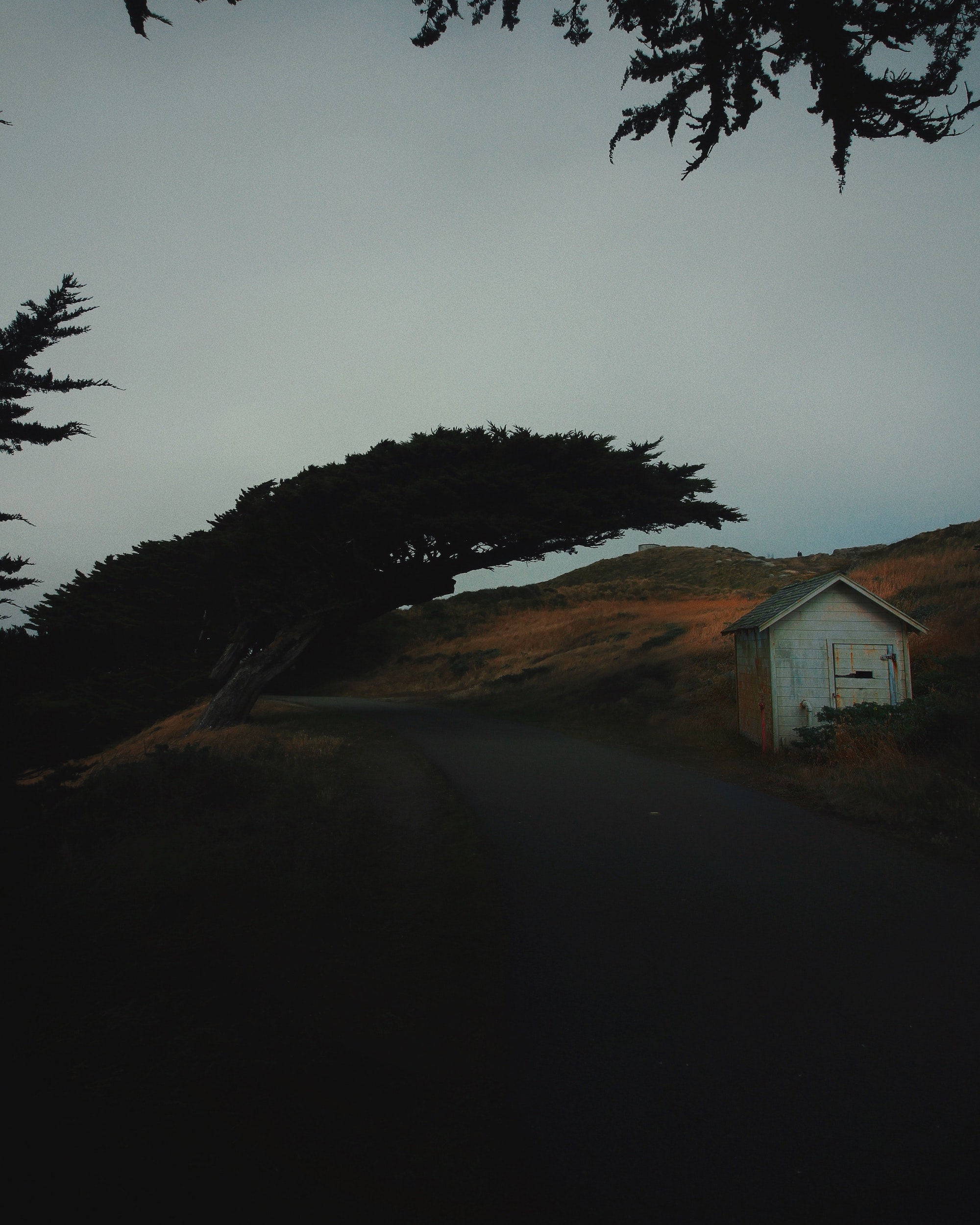 a case for outdoor sex.