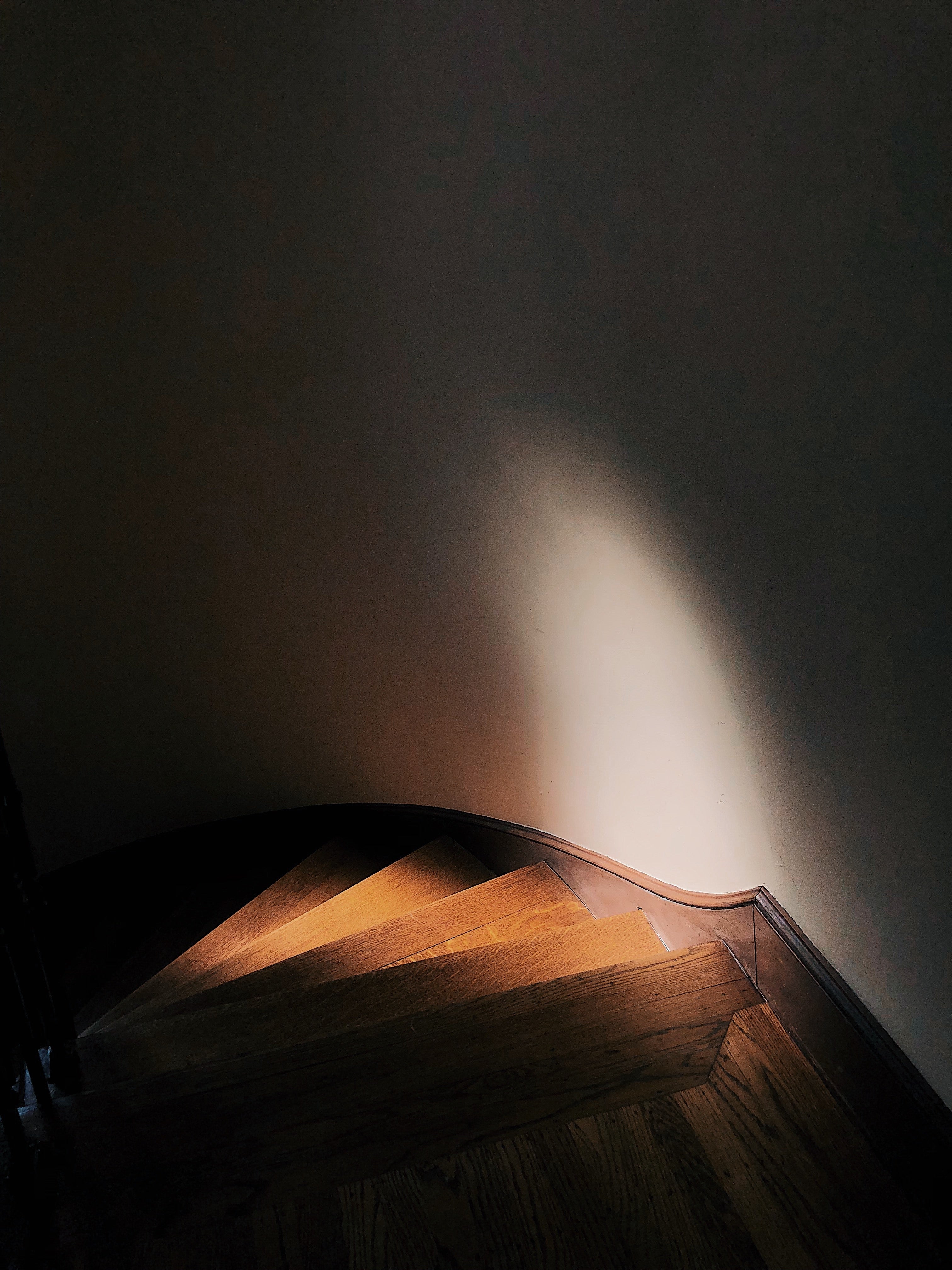 Pelvic floor basics.