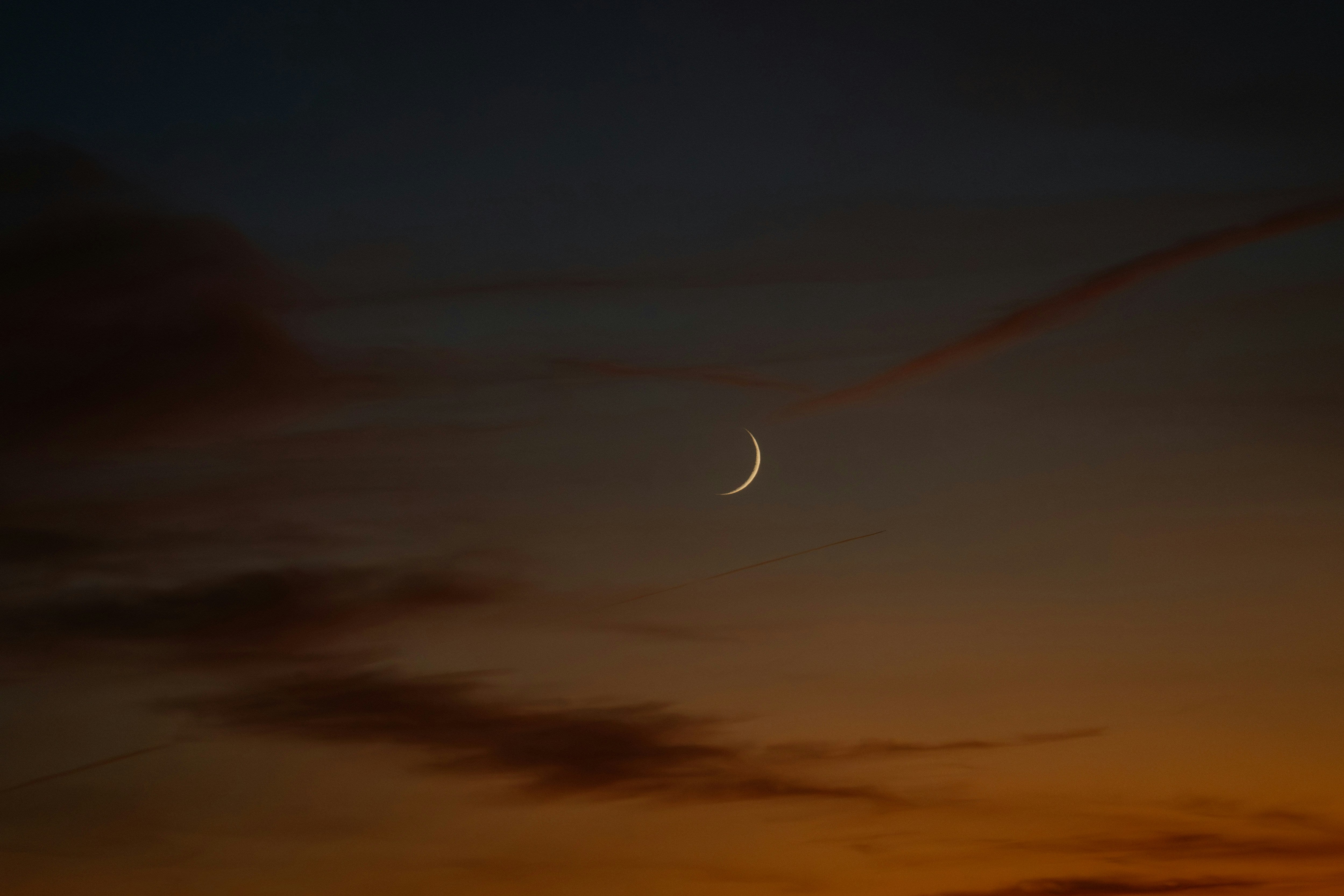 the astrology of sex and love.