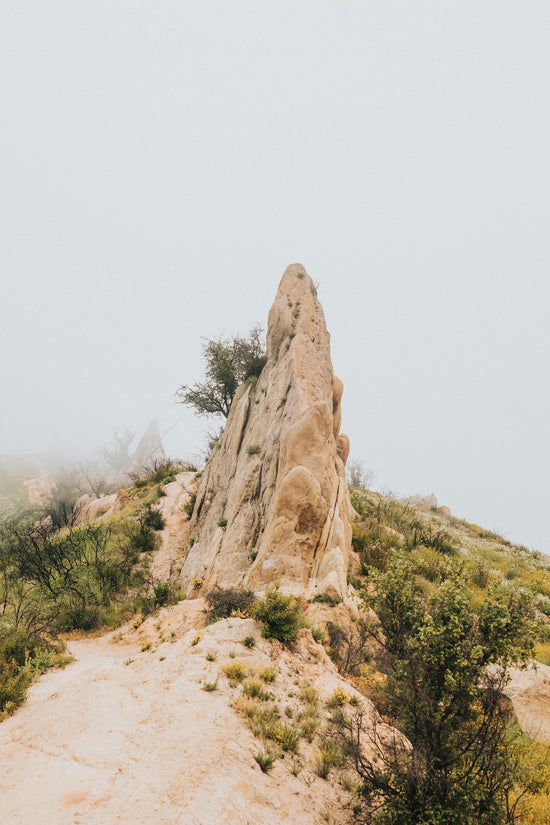 The Story of the 28,000-year-old Dildo.