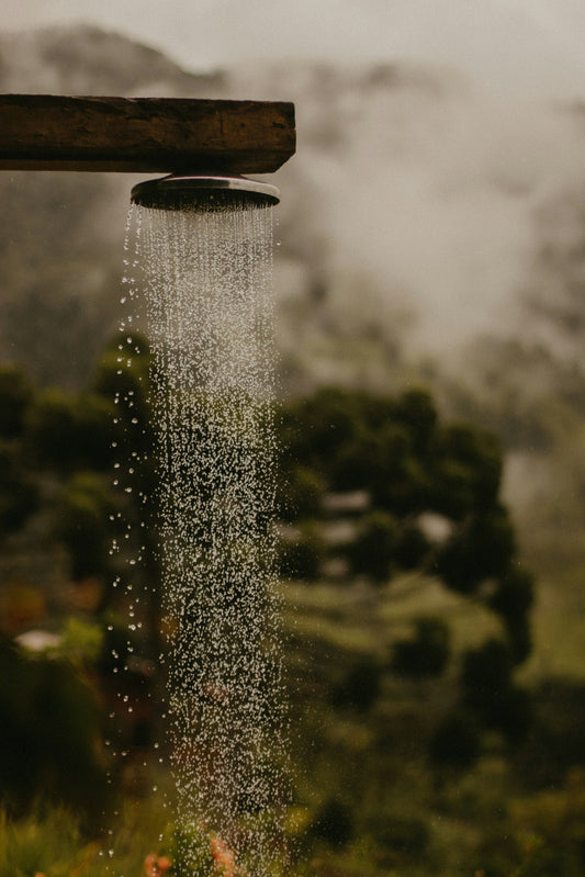 a cozy history of showering with company.