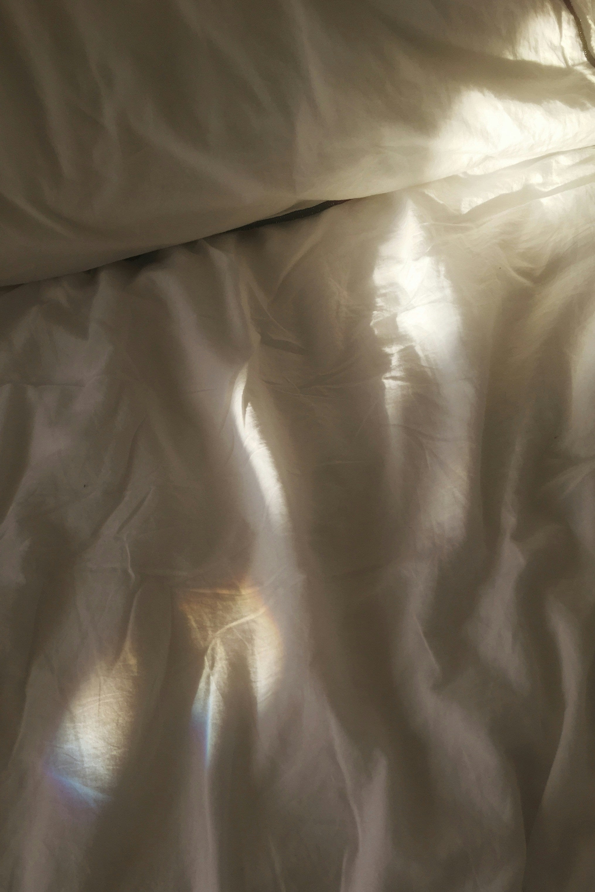Erotic Activism: How Queer Desire Fuels Social Change.