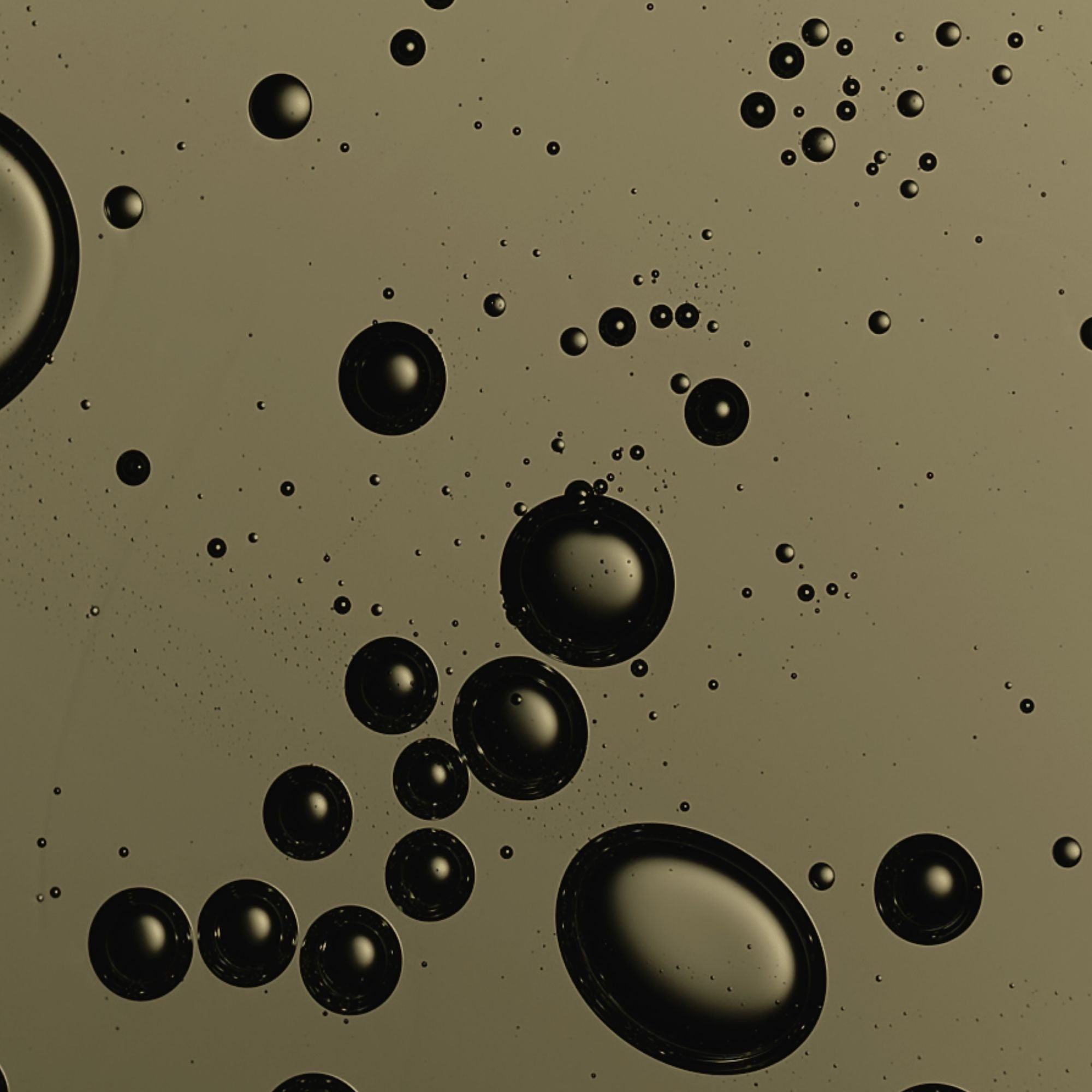 March VIP Sale 25% Off