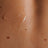 shine organic 11